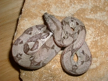 1G01