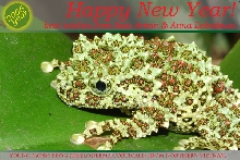 Merry Christmas and Happy  New Year!