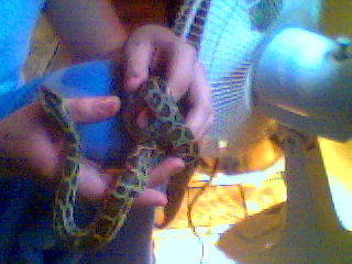 New Baby Burm