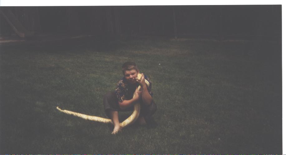 Me old burm again