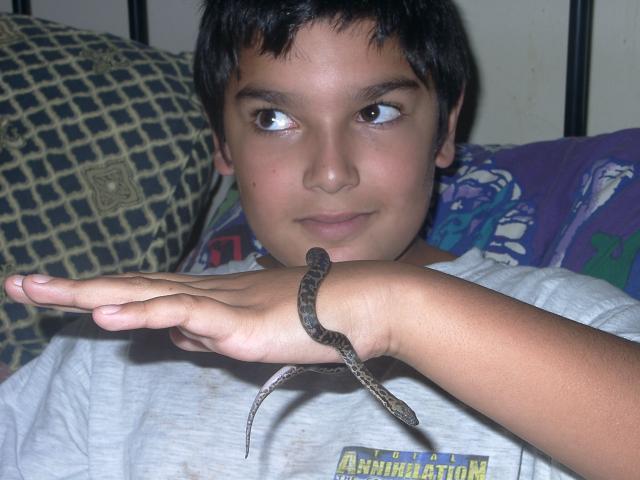 My son with our first snake