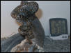 Children's Python 2