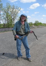 Minnesota Bullsnake