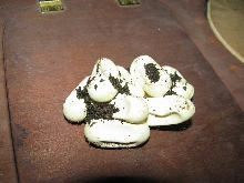 Dry Eastern Eggs.