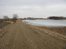 Minnesota Tiger Salamander Habitat
