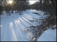 Spiny Softshell Turtle habitat in southern Minnesota