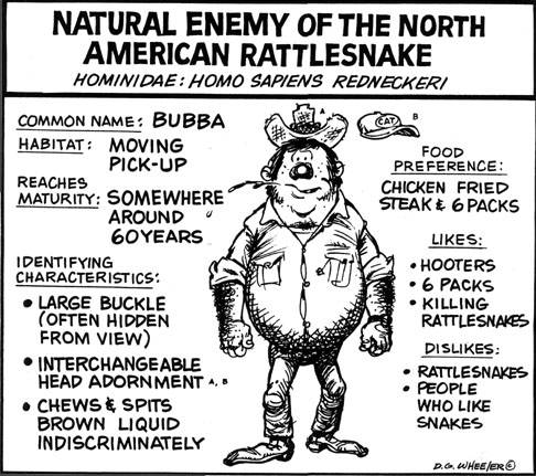 Homo sapiens redneckeri