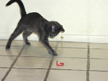 Trouble attacking