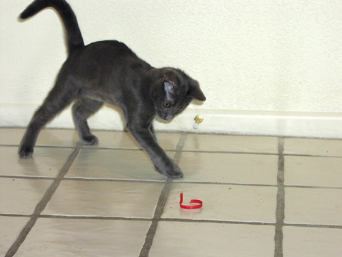 Trouble attacking