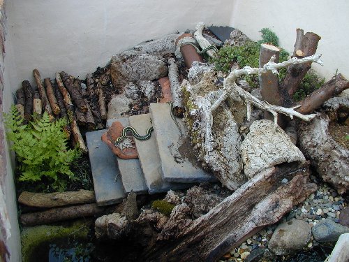 snake pit