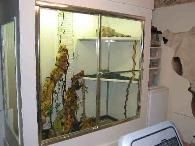 Iguana House Photo