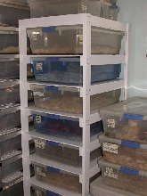 PVC Rack side view