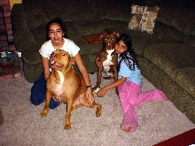 Kids with the dogs.