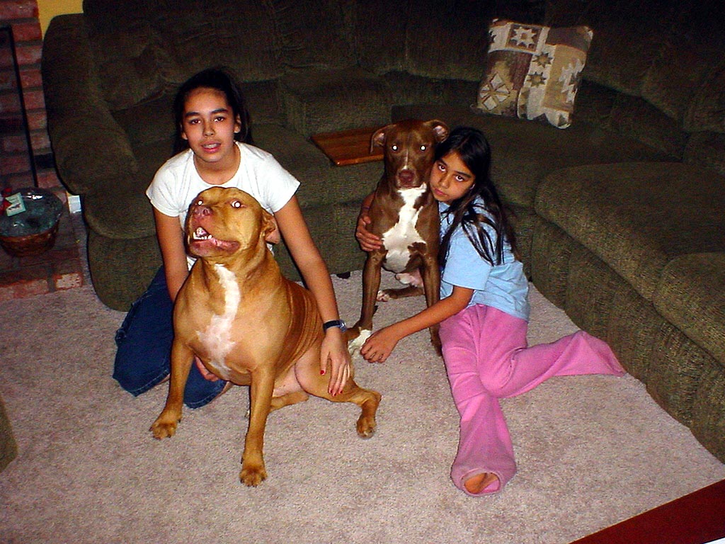 Kids with the dogs.