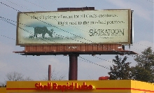 God's Creatures