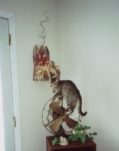 Caught in the act!