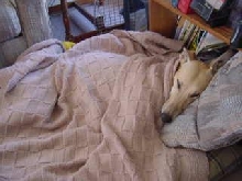 Just a little spoiled