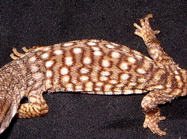 Unique Pattern