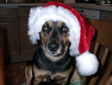 Tilly My hero