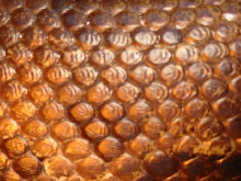 sarawak scales