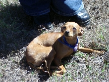 My tasha bell