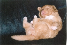 Deep sleep