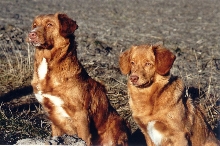 Mother & daughter