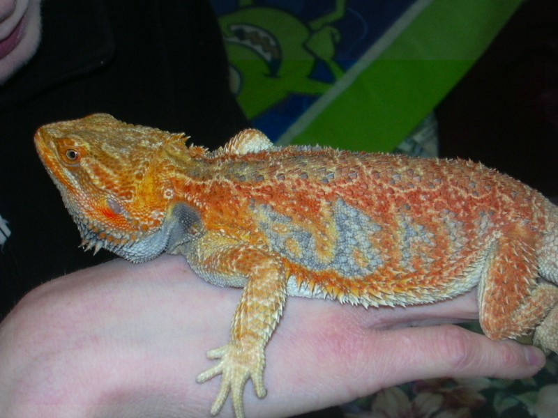 My boy
