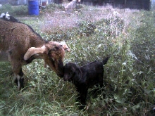 Mama&baby