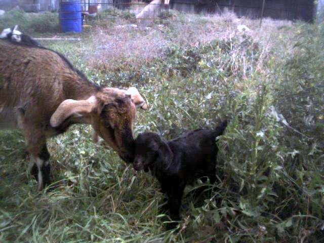 Mama&baby