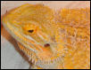 ALEMOZ2