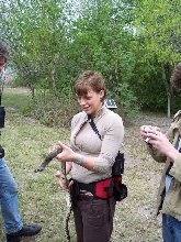 second snake