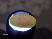 egg2