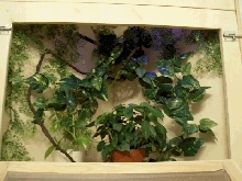 interior of crested tank