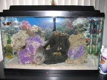 Another pic
