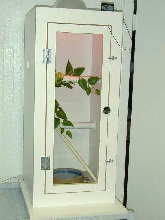 Arboreal Cage
