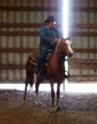 Rosie first rider