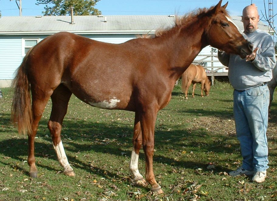 Rosie as  2 year old, showing her spot side