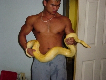 Albino Boa