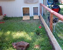 Scooter and Doser's house