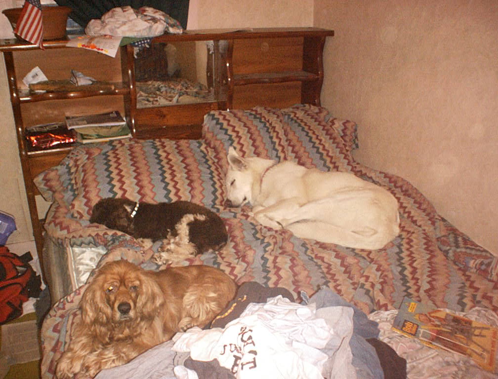 Nap Time!