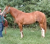 RookieAug1