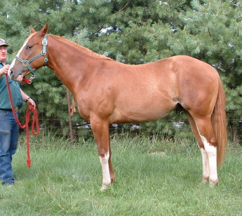RookieAug1