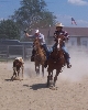 roping