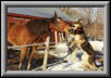They say dogs man's best friend?
