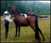 Showing in the Rain