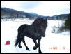 Cold winters in VT