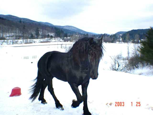 Cold winters in VT