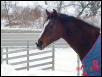 Winters in VT