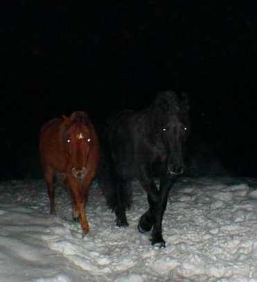 Night Vision